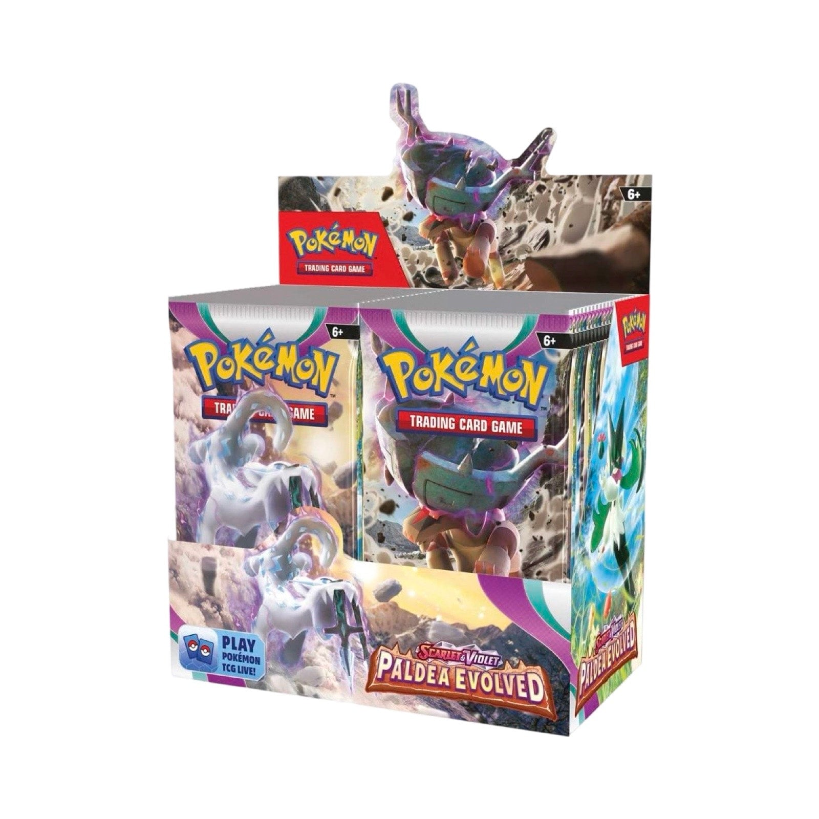 Paldea Evolved Booster Pack/Box Pokémon Trading Card Game – PackFlipps