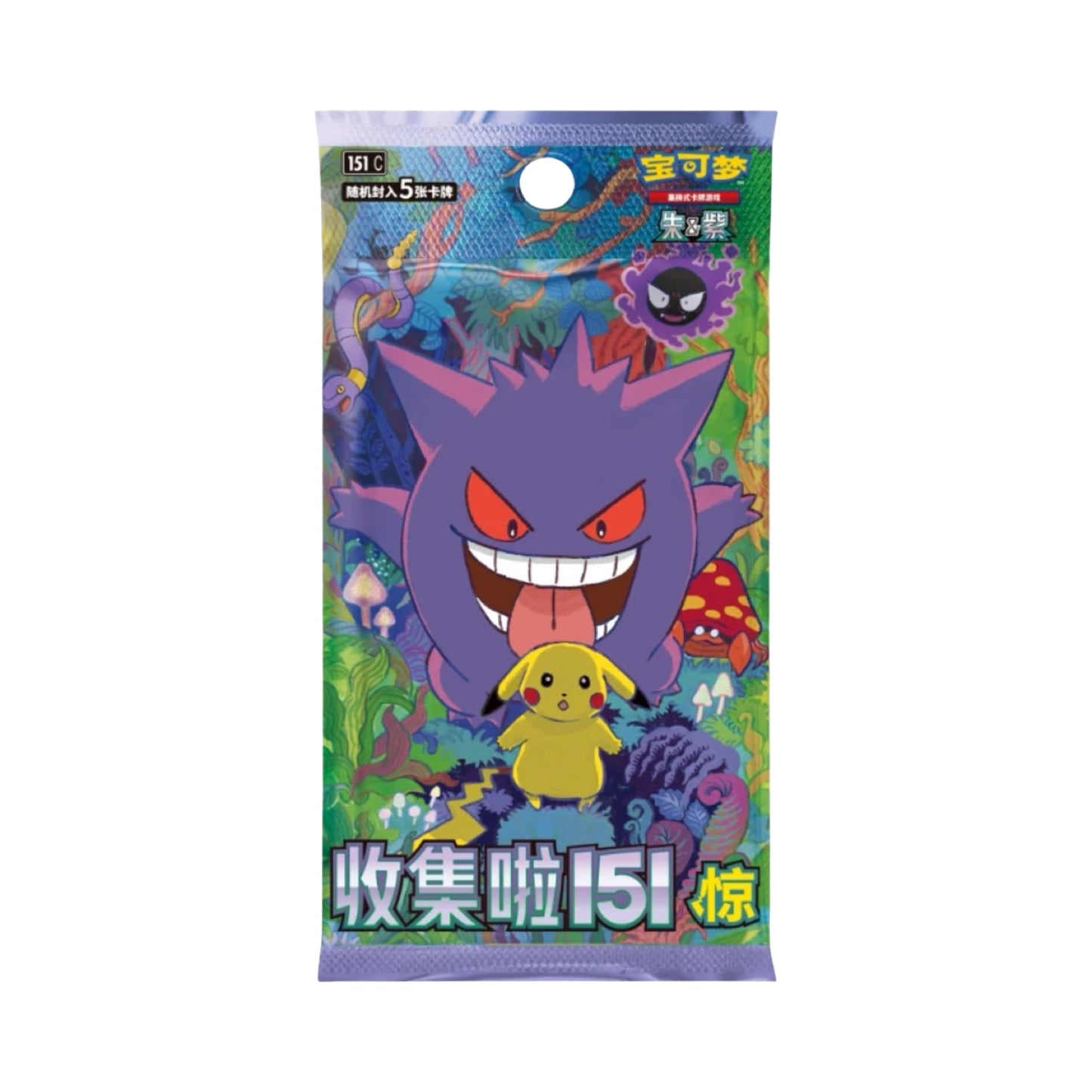 Collect 151 Surprise Box Coin Collection Chinese Pokémon Trading Card Game