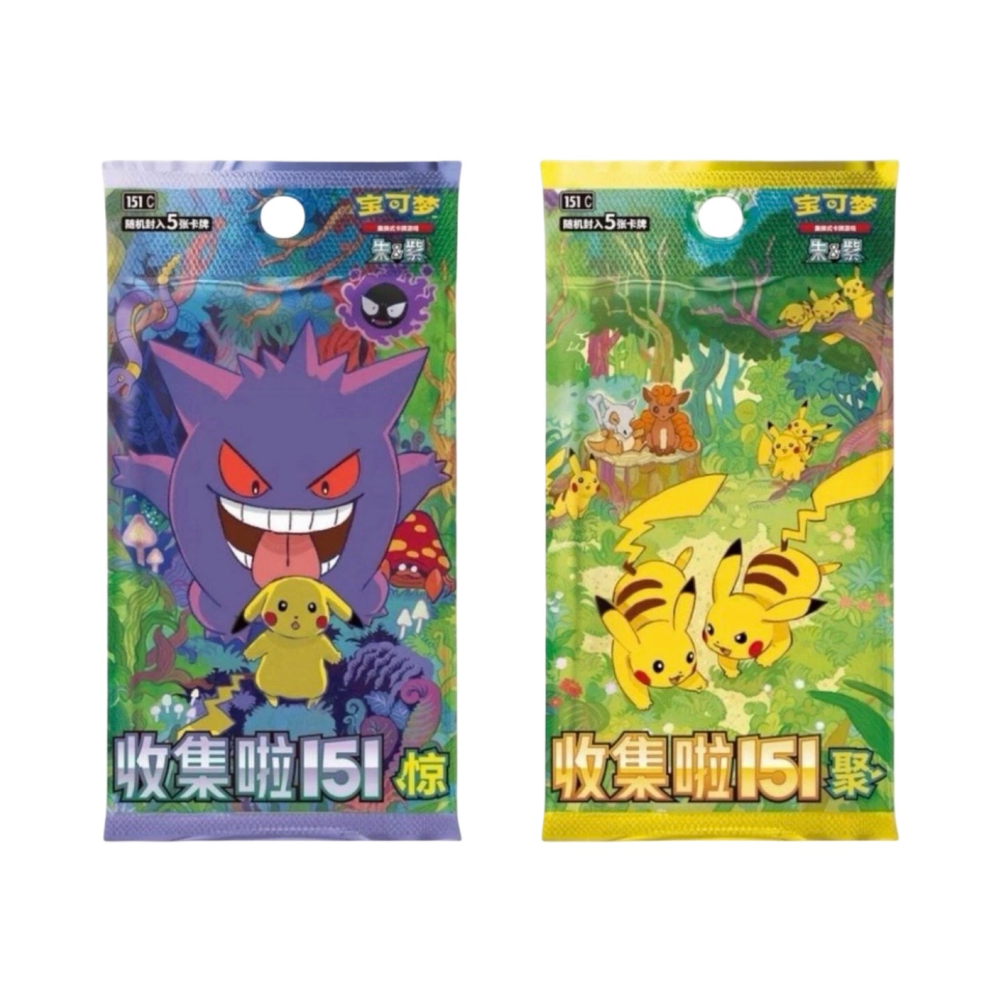 Pokemon 151 Travel Metal Tin Box Chinese Pokemon Trading Card Game
